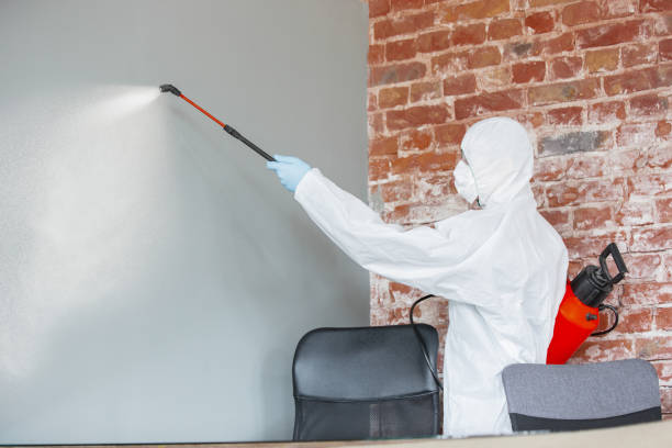 Best Industrial Mold Remediation  in West Falmouth, MA