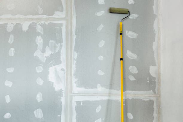 Best Mold Damage Restoration  in West Falmouth, MA